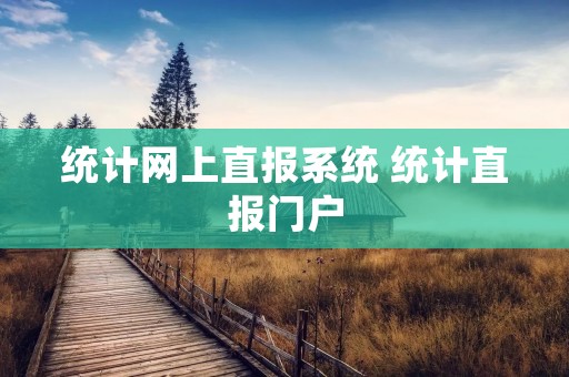 统计网上直报系统 统计直报门户