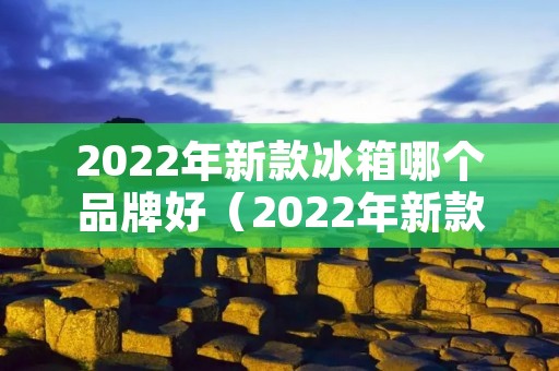 2022年新款冰箱哪个品牌好（2022年新款冰箱哪个品牌好些）