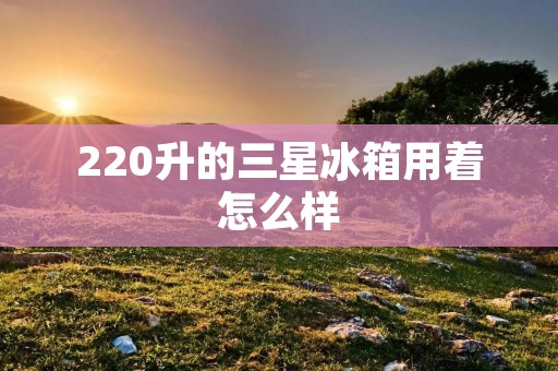 220升的三星冰箱用着怎么样