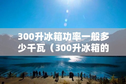 300升冰箱功率一般多少千瓦（300升冰箱的功率是多少瓦）