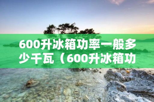 600升冰箱功率一般多少千瓦(600升冰箱功率一般多少千瓦正常)
