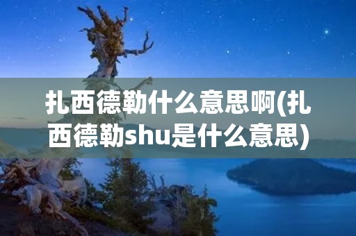 扎西德勒什么意思啊(扎西德勒shu是什么意思)
