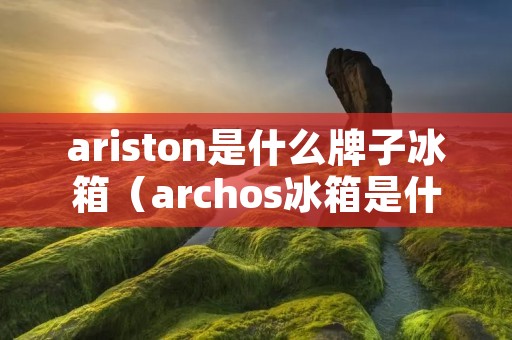 ariston是什么牌子冰箱(archos冰箱是什么牌子)