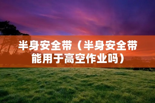 半身安全带（半身安全带能用于高空作业吗）