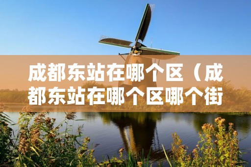 成都东站在哪个区(成都东站在哪个区哪个街道) 成都东站在哪个区(成都东站在哪个区哪个街道)