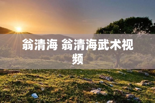 翁清海 翁清海武术视频