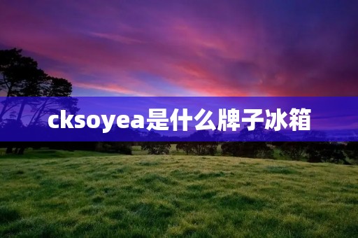 cksoyea是什么牌子冰箱