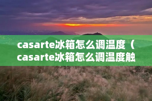 casarte冰箱怎么调温度(casarte冰箱怎么调温度触摸屏图解)