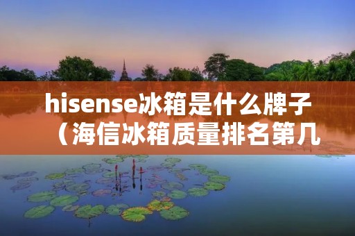 hisense冰箱是什么牌子（海信冰箱质量排名第几）