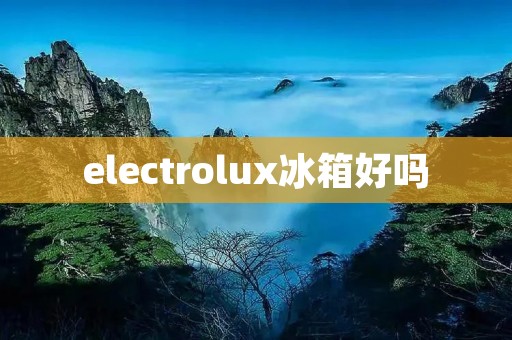 electrolux冰箱好吗