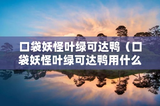 口袋妖怪叶绿可达鸭（口袋妖怪叶绿可达鸭用什么钓竿）