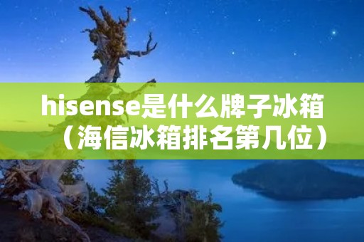 hisense是什么牌子冰箱（海信冰箱排名第几位）