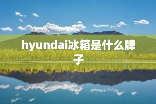 hyundai冰箱是什么牌子