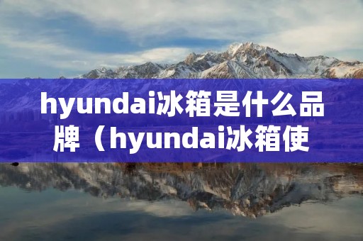 hyundai冰箱是什么品牌（hyundai冰箱使用说明书）