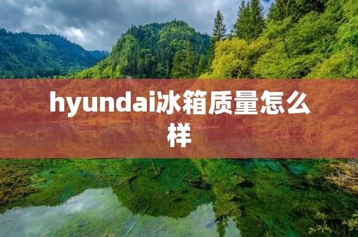 hyundai冰箱质量怎么样