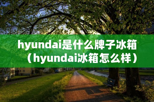 hyundai是什么牌子冰箱（hyundai冰箱怎么样）