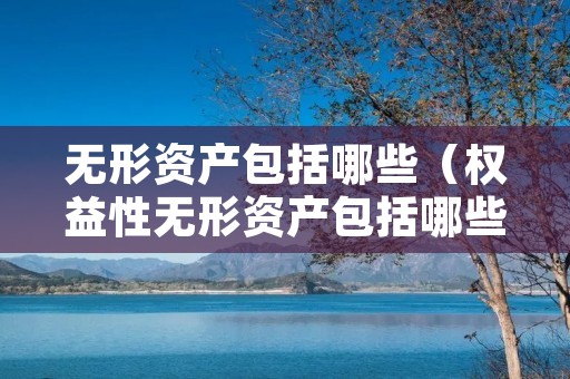 无形资产包括哪些（权益性无形资产包括哪些）