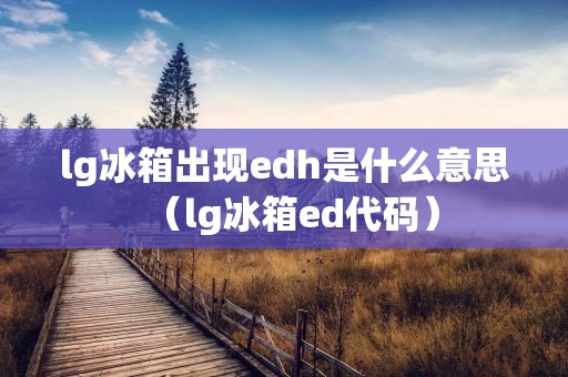 lg冰箱出现edh是什么意思（lg冰箱ed代码）