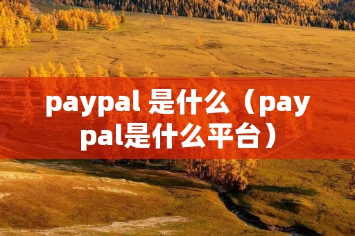 paypal 是什么（paypal是什么平台）