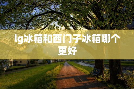 lg冰箱和西门子冰箱哪个更好