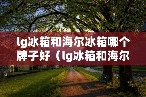 lg冰箱和海尔冰箱哪个牌子好（lg冰箱和海尔冰箱哪个牌子好）