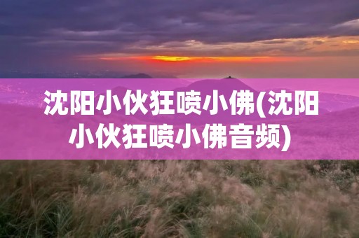 沈阳小伙狂喷小佛(沈阳小伙狂喷小佛音频) 沈阳小伙狂喷小佛(沈阳小伙狂喷小佛音频)