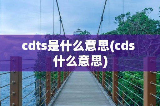 cdts是什么意思(cds 什么意思)