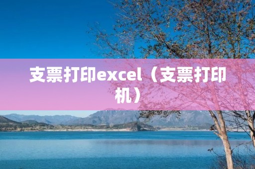 支票打印excel(支票打印机) 支票打印excel(支票打印机)
