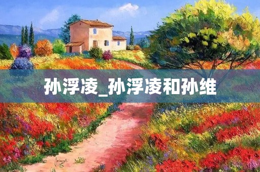 孙浮凌_孙浮凌和孙维
