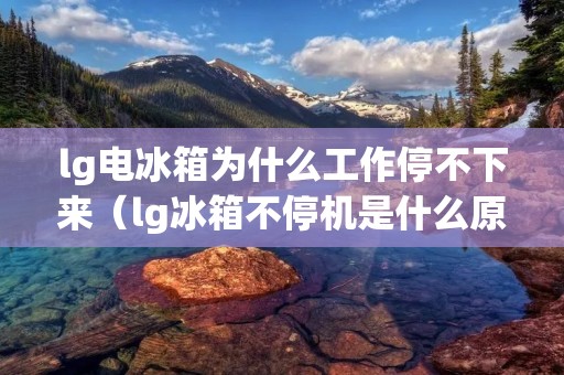 lg电冰箱为什么工作停不下来（lg冰箱不停机是什么原因）