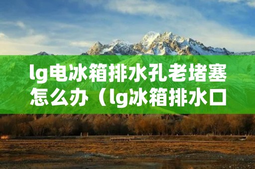 lg电冰箱排水孔老堵塞怎么办（lg冰箱排水口盖打不开怎么弄）