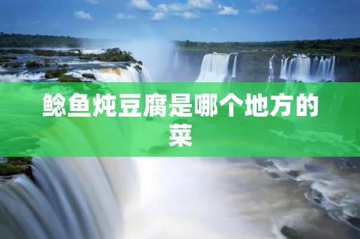 鲶鱼炖豆腐是哪个地方的菜 鲶鱼炖豆腐是哪个地方的菜