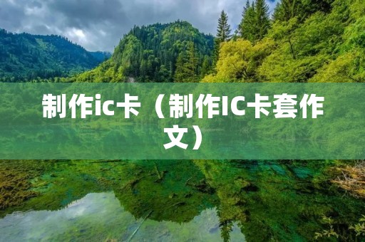 制作ic卡（制作IC卡套作文）