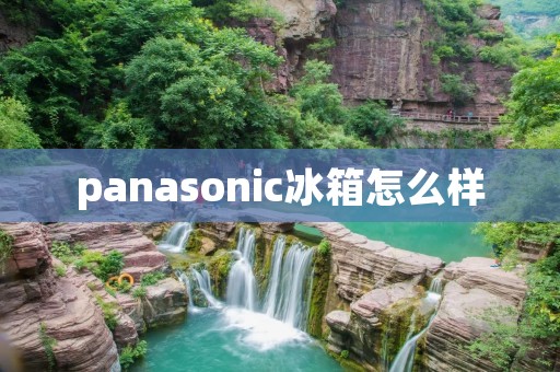 panasonic冰箱怎么样