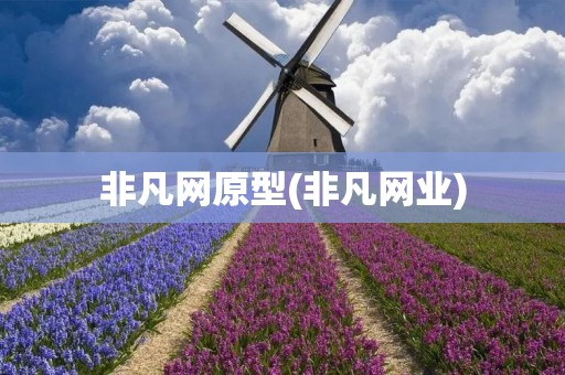 非凡网原型(非凡网业)