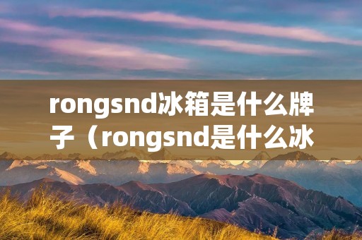 rongsnd冰箱是什么牌子（rongsnd是什么冰箱 质量如何）