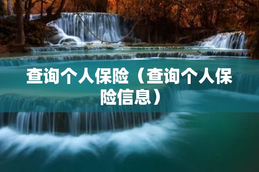 查询个人保险(查询个人保险信息) 查询个人保险(查询个人保险信息)