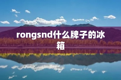 rongsnd什么牌子的冰箱