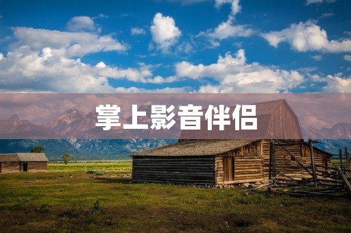 掌上影音伴侣