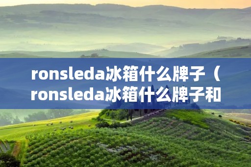 ronsleda冰箱什么牌子（ronsleda冰箱什么牌子和荣升）