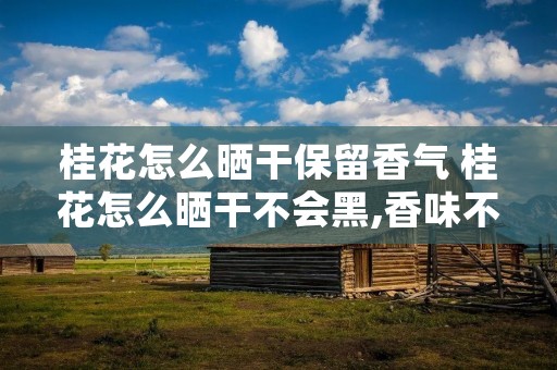 桂花怎么晒干保留香气 桂花怎么晒干不会黑,香味不会丢失