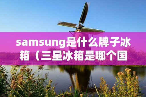 samsung是什么牌子冰箱（三星冰箱是哪个国家的）