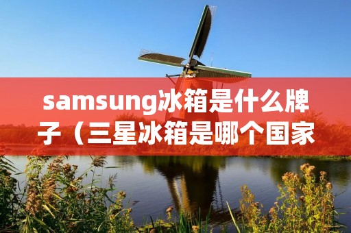samsung冰箱是什么牌子（三星冰箱是哪个国家的）