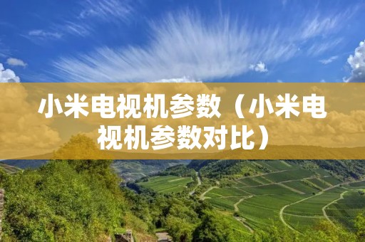 小米电视机参数（小米电视机参数对比）