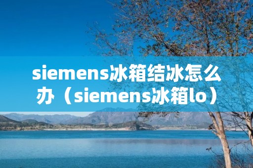 siemens冰箱结冰怎么办（siemens冰箱lo）