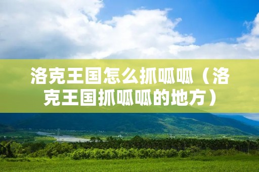 洛克王国怎么抓呱呱(洛克王国抓呱呱的地方) 洛克王国怎么抓呱呱(洛克王国抓呱呱的地方)