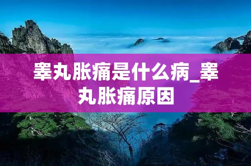 睾丸胀痛是什么病_睾丸胀痛原因