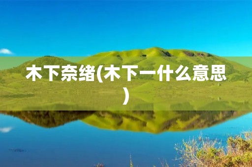 木下奈绪(木下一什么意思)