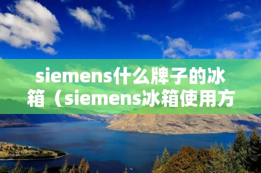siemens什么牌子的冰箱（siemens冰箱使用方法）