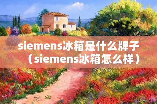 siemens冰箱是什么牌子（siemens冰箱怎么样）